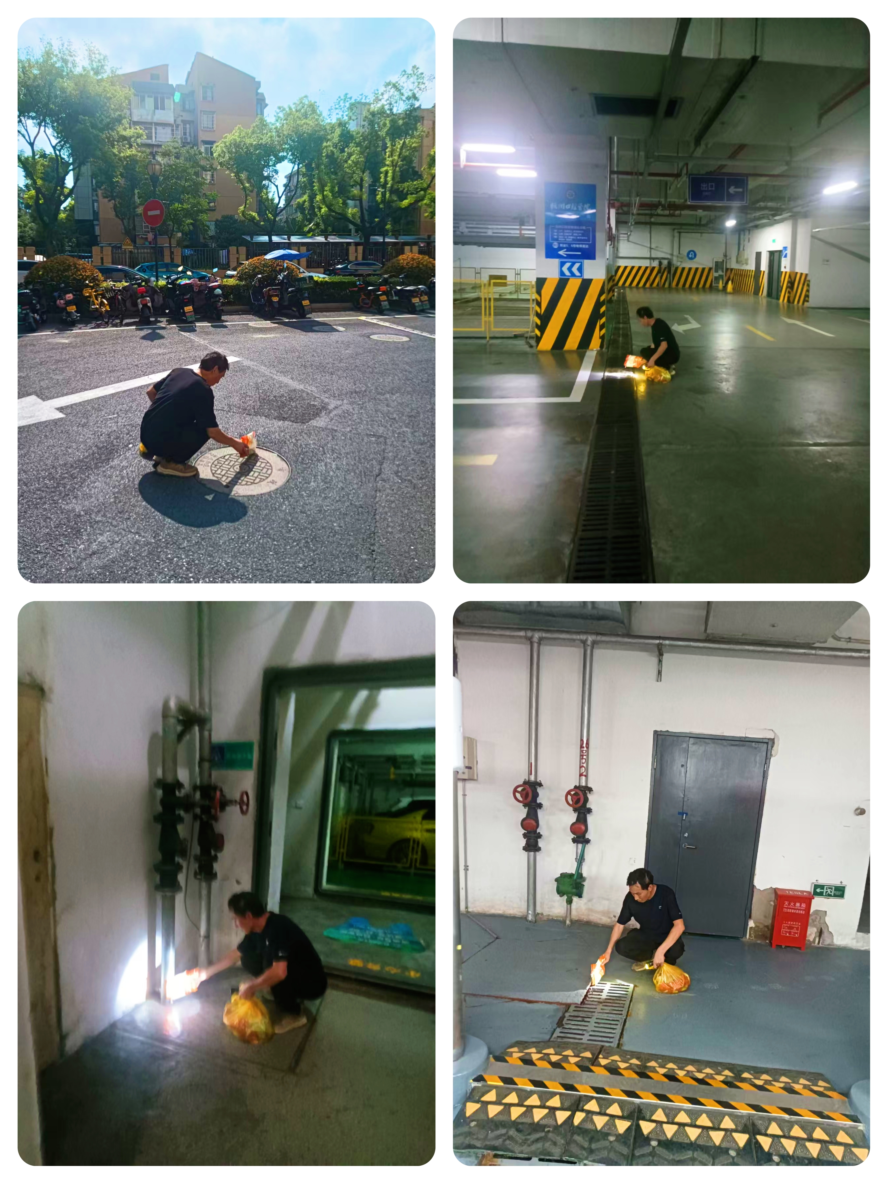 水晶城開展“清積水、除四害”專項(xiàng)行動(dòng) 筑牢健康防線