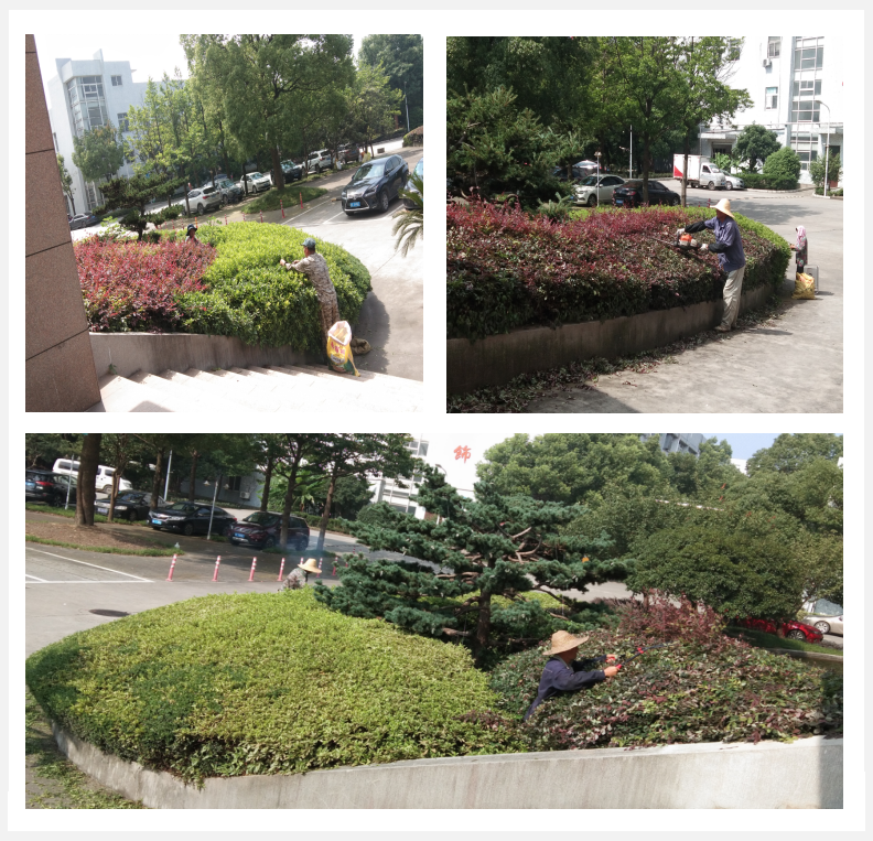 美化綠化，我們?cè)谛袆?dòng)      