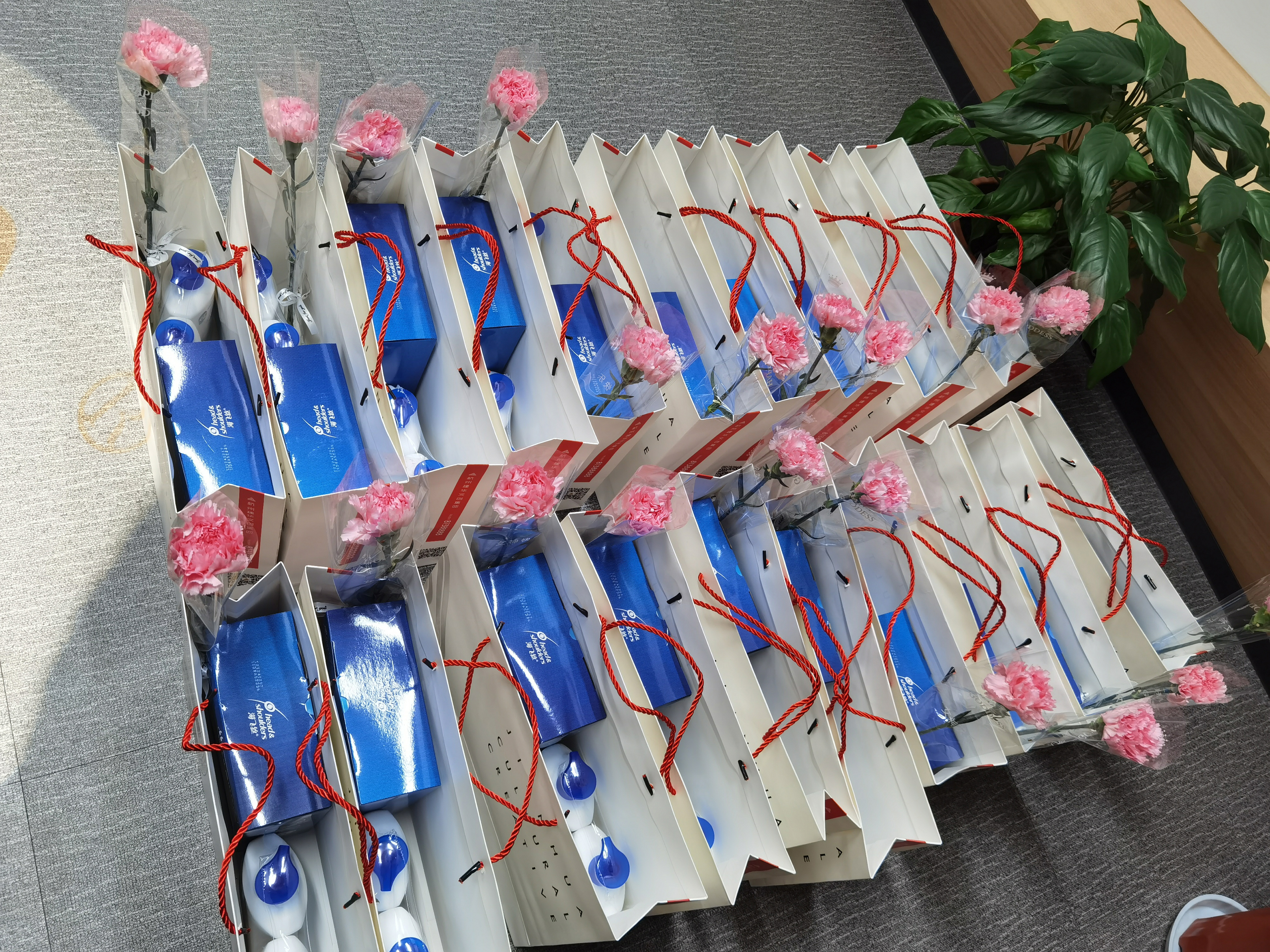 情暖三八 建華文創(chuàng)集團(tuán)工會積極開展送溫暖活動 