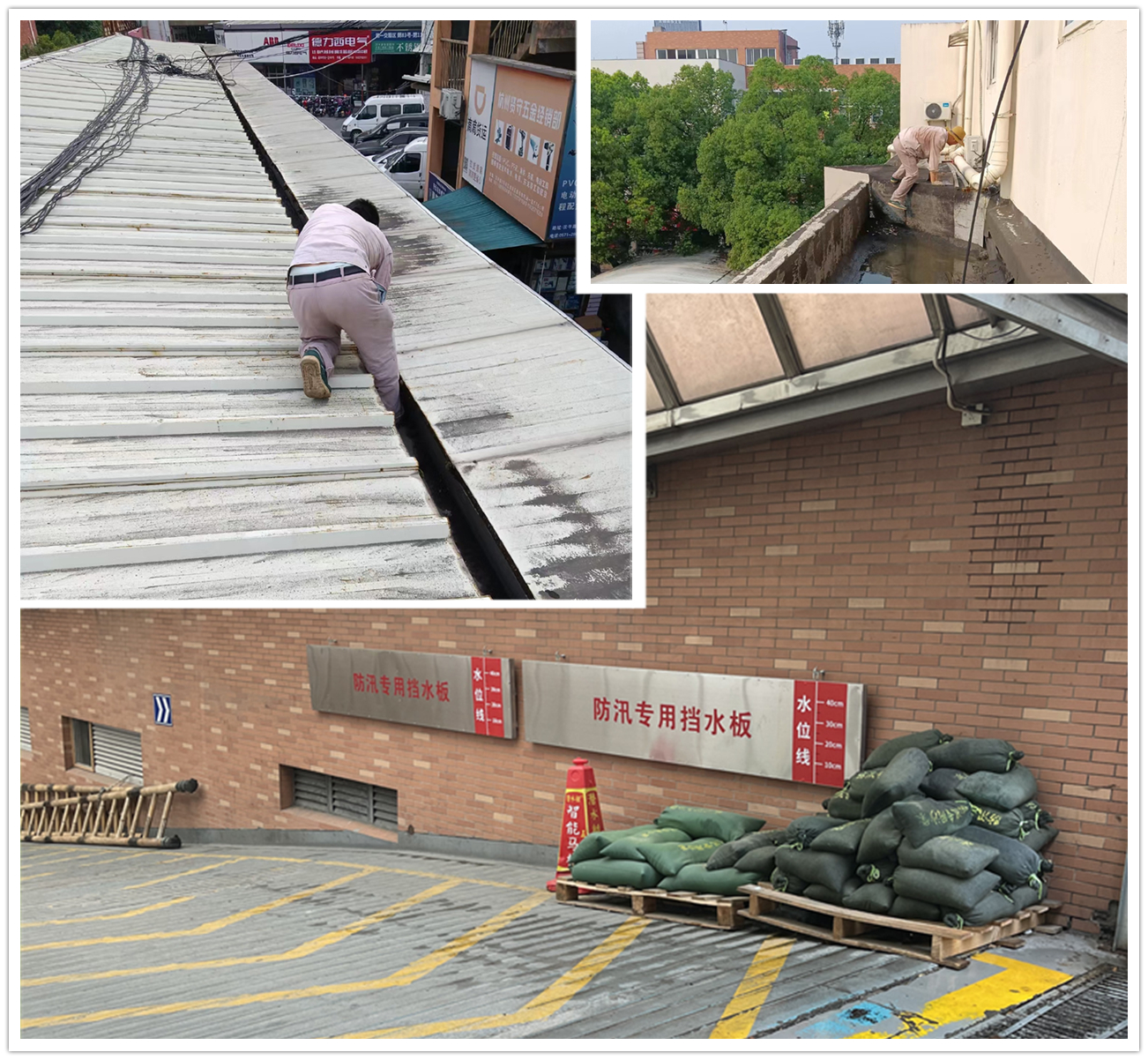 應(yīng)對臺風“梅花” 建華市場在行動