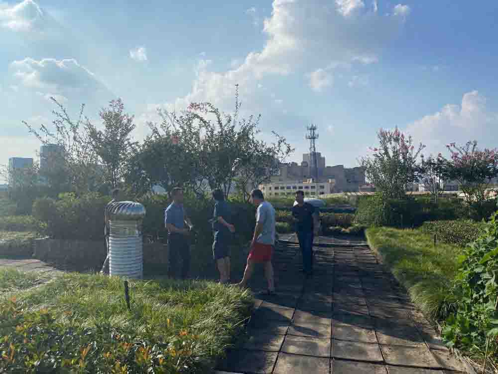 區(qū)綠化辦檢查錢(qián)江商城屋頂綠化 養(yǎng)護(hù)工作