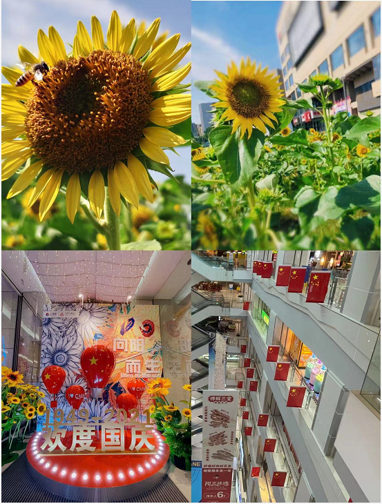 盛世華誕，水晶城喜迎國慶