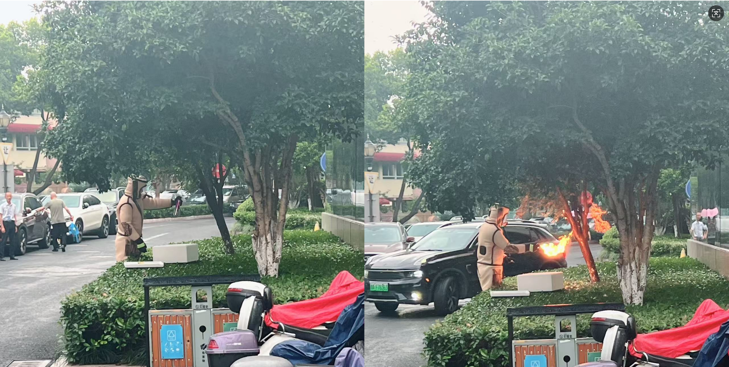 安全守護(hù)零距離，水晶城快速處置外圍蜂群隱患